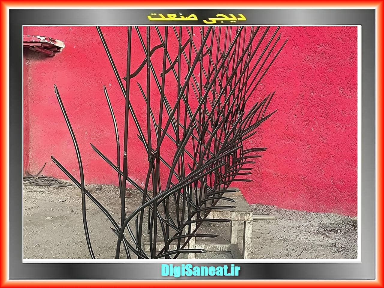 ویژگی های منحصر به فرد حفاظ شاخ گوزنی ویژگی های منحصر به فرد حفاظ شاخ گوزنی