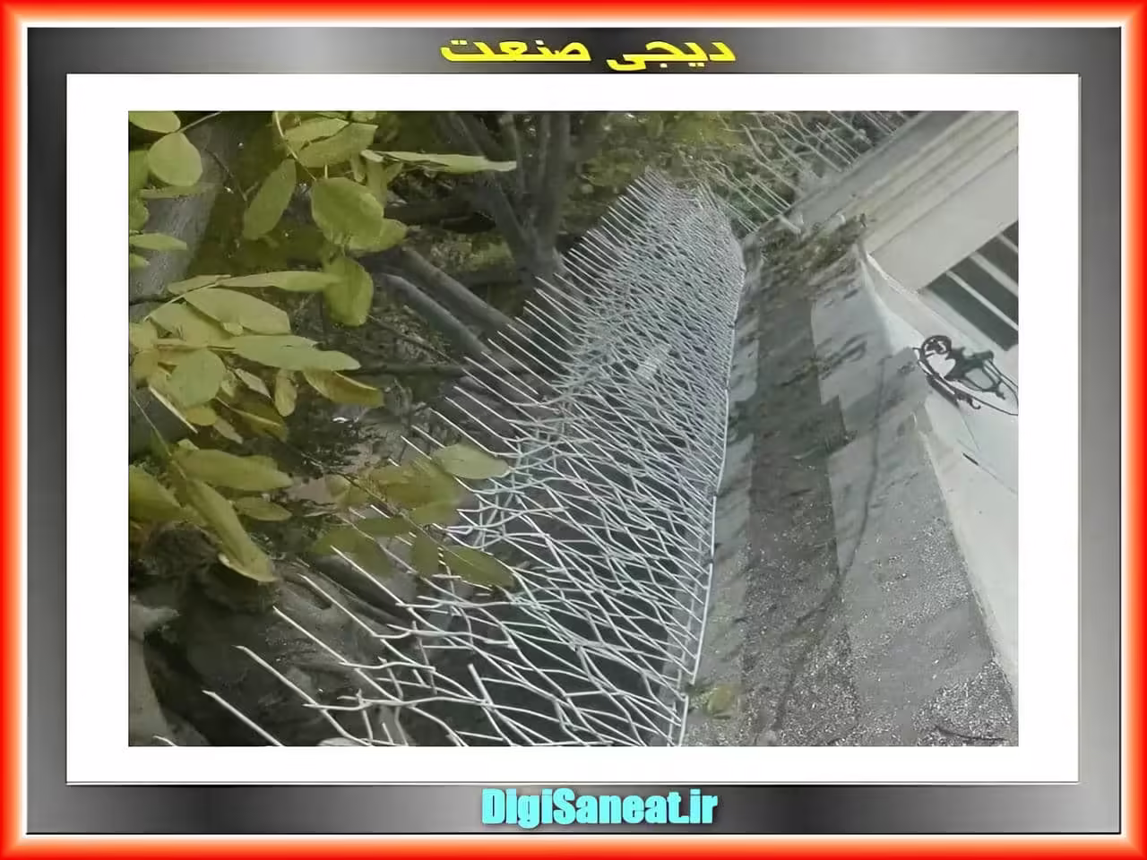 حفاظ شاخ گوزنی بازار آهن