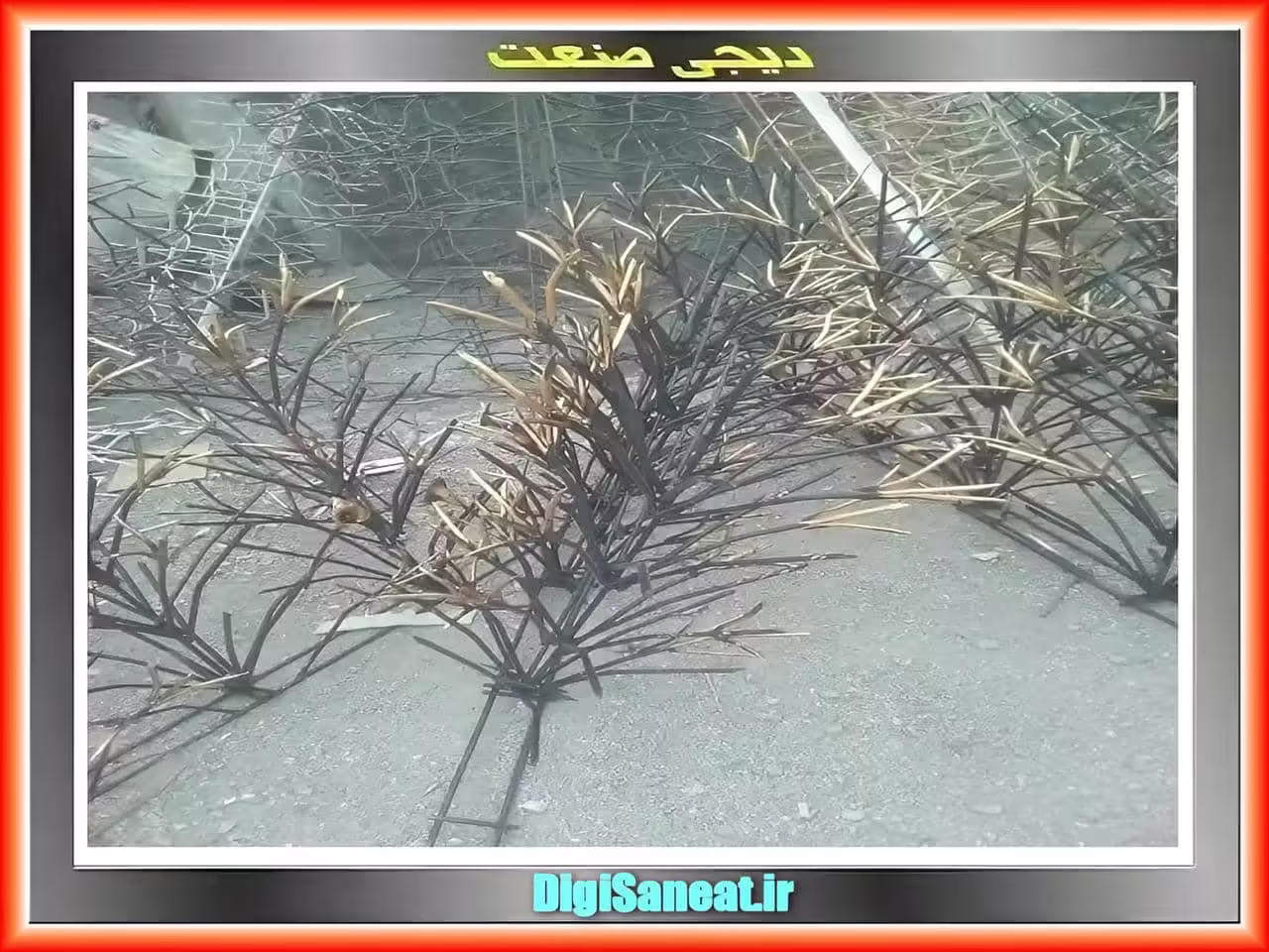 قیمت حفاظ لیلیوم
