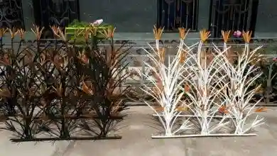 حفاظ لیلیوم