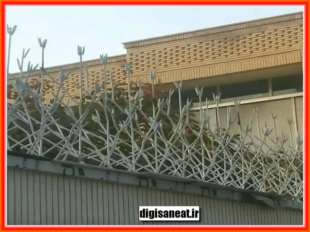 حفاظ شاخ گوزنی در محله چیذر