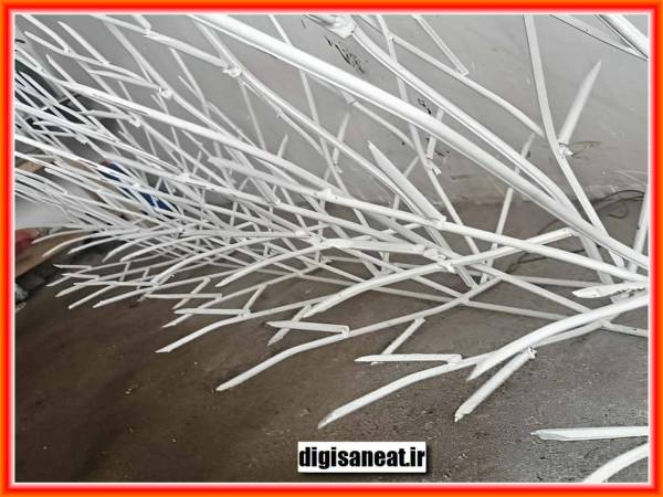 حفاظ شاخ گوزنی در بندر گناوه