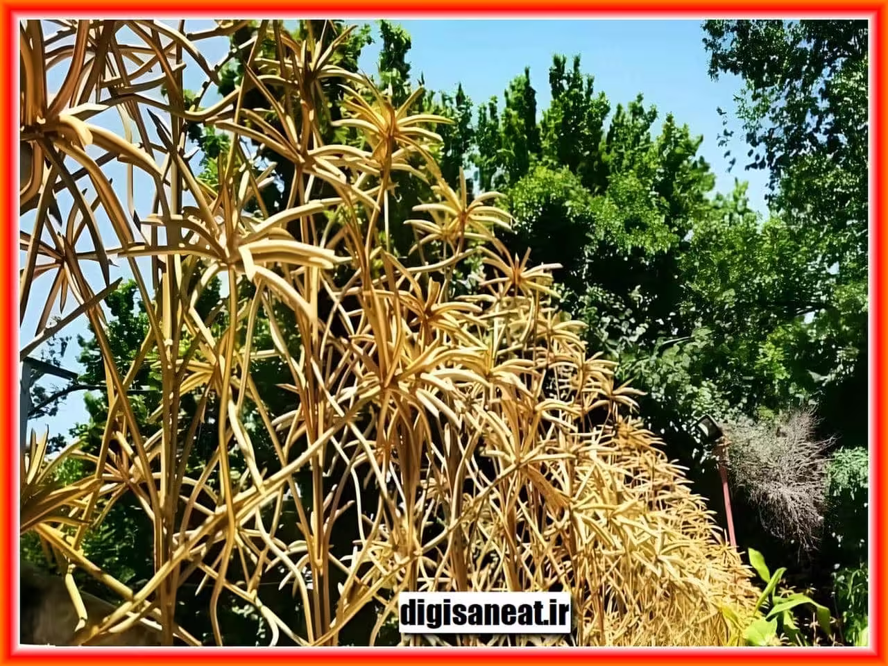 راهنمای انتخاب بهترین نصاب حفاظ دیوار