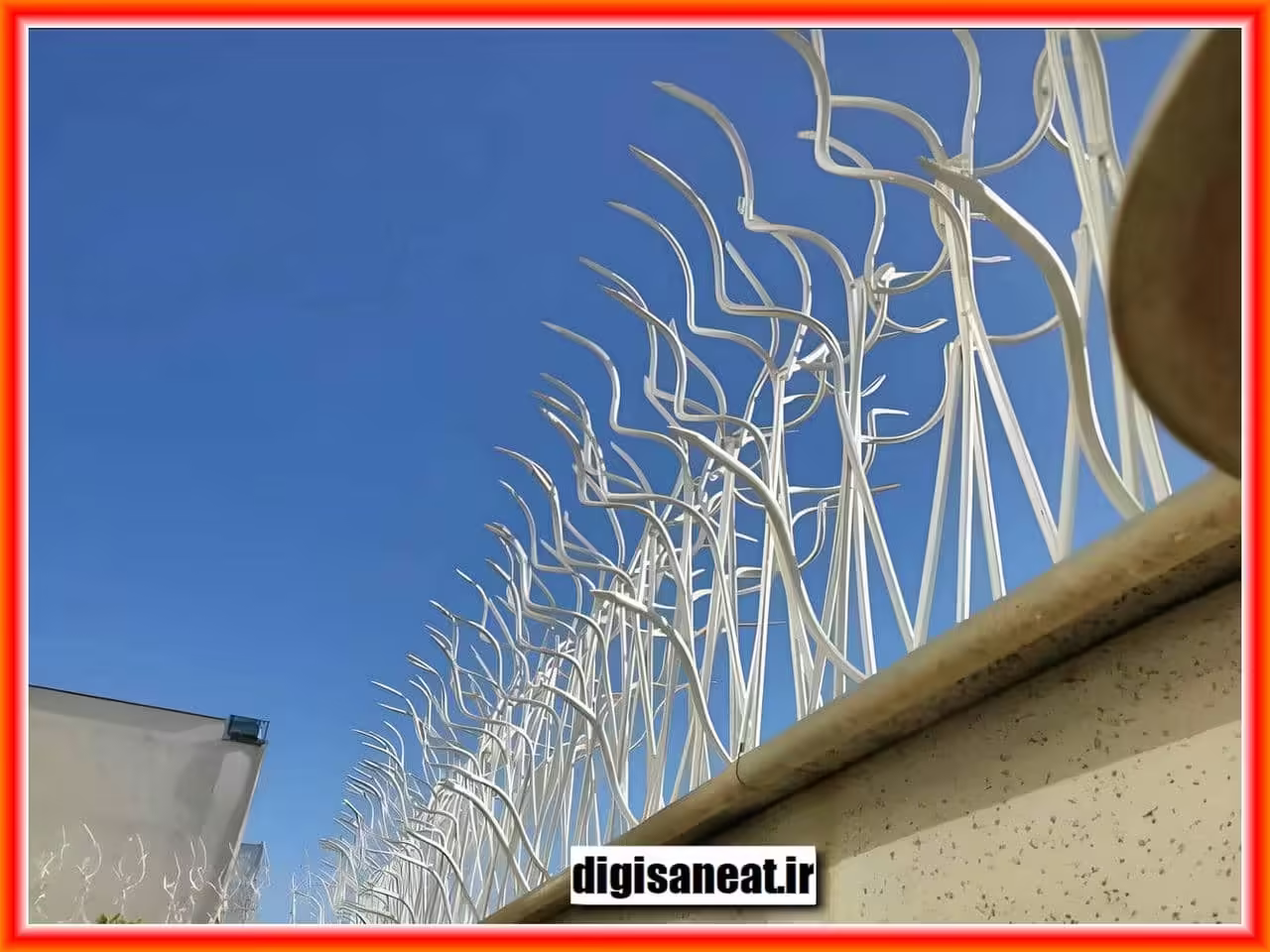 نکات مهم در خرید و انتخاب انواع شاخ گوزنی