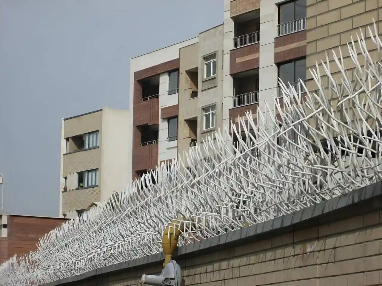 خرید حفاظ شاخ گوزنی تهران خرید حفاظ شاخ گوزنی تهران