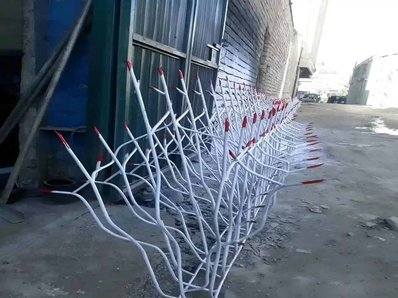 مزایای حفاظ شاخ گوزنی