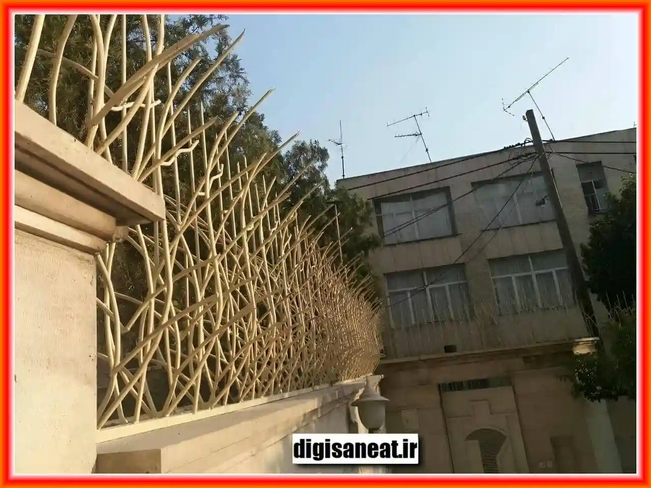 حفاظ شاخ گوزنی در بندر انزلی حفاظ شاخ گوزنی در بندر انزلی