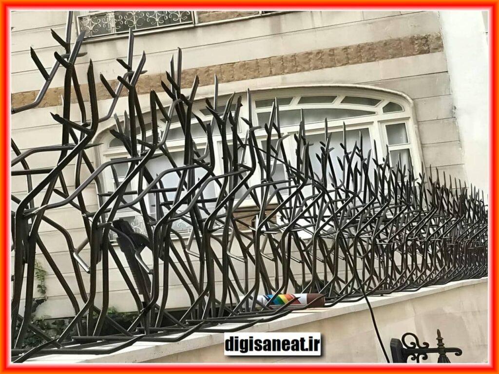 حفاظ شاخ گوزنی در کرمان