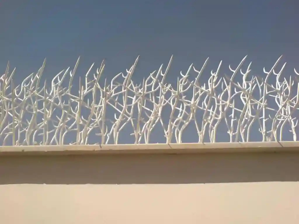 ویژگیهای حفاظ شاخ گوزنی برای ایجاد حریم خصوصی ویژگیهای حفاظ شاخ گوزنی برای ایجاد حریم خصوصی