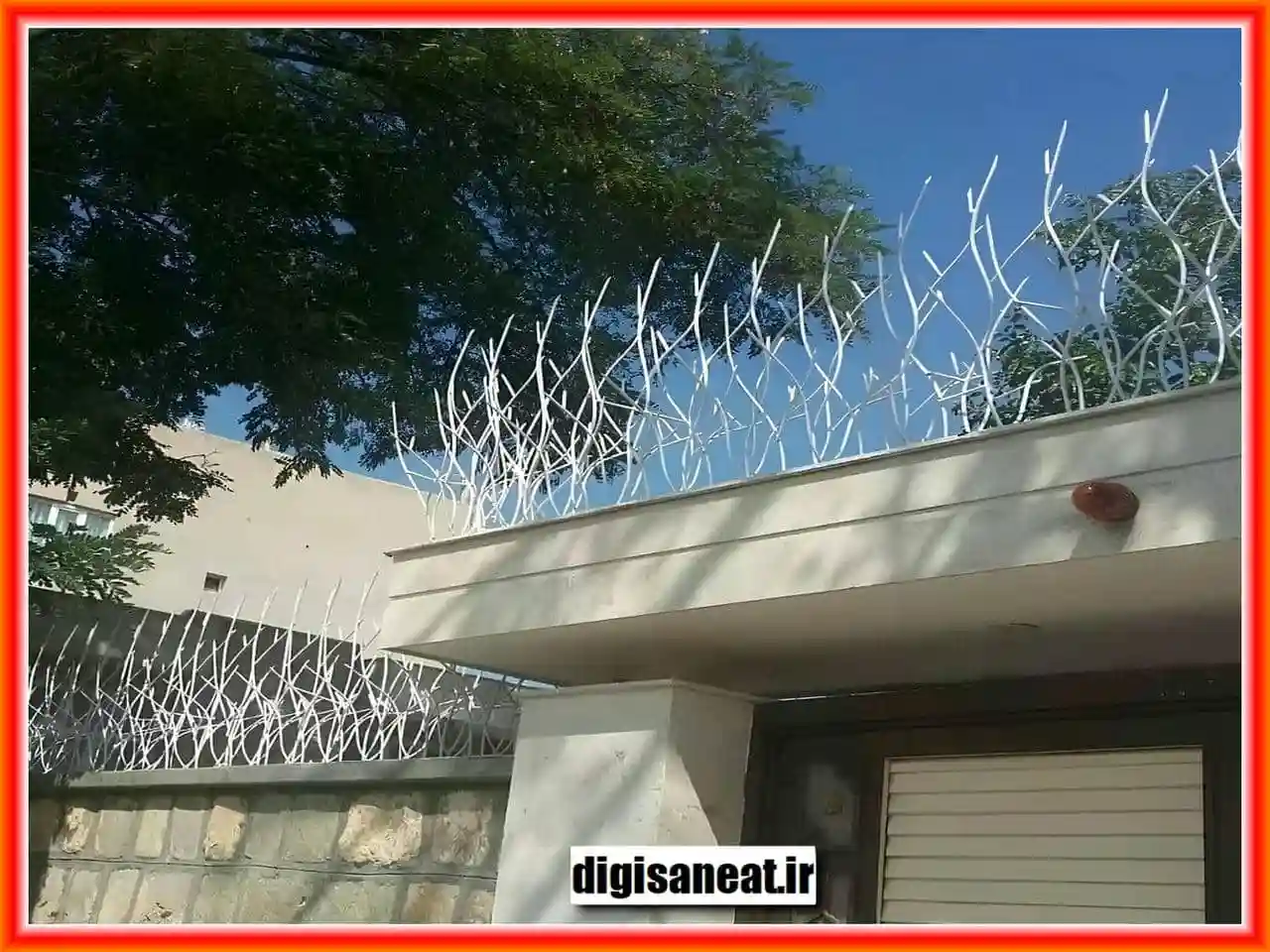 حفاظ شاخ گوزنی در محله سردار جنگل حفاظ شاخ گوزنی در محله سردار جنگل