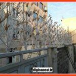 مزیت و معایب حفاظ شاخ گوزنی