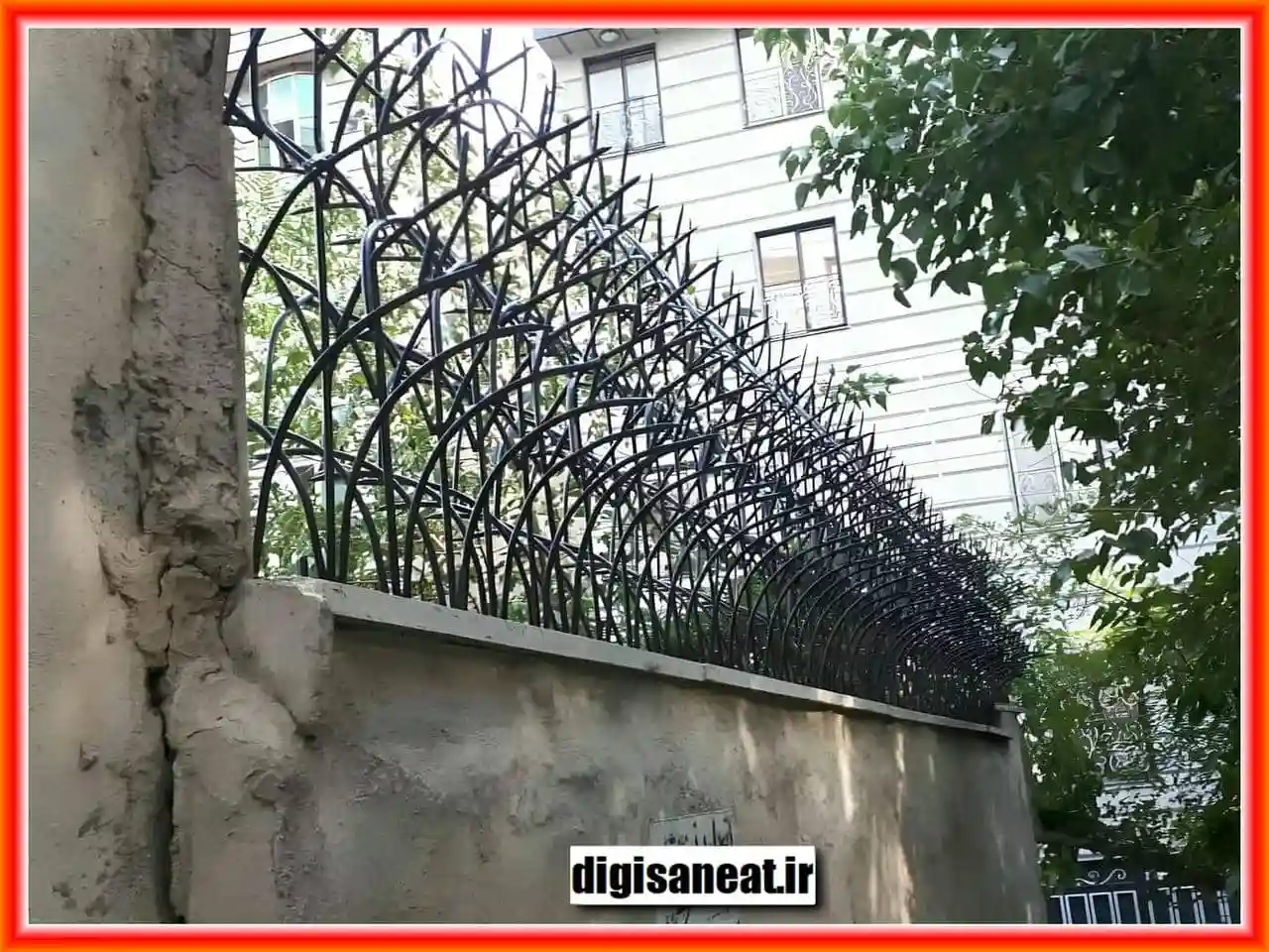 حفاظ شاخ گوزنی در اردبیل