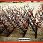 نکاتی در انتخاب ترکیب رنگی برای حفاظ شاخ گوزنی