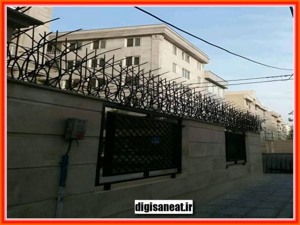 حفاظ شاخ گوزنی در محله اوین درکه