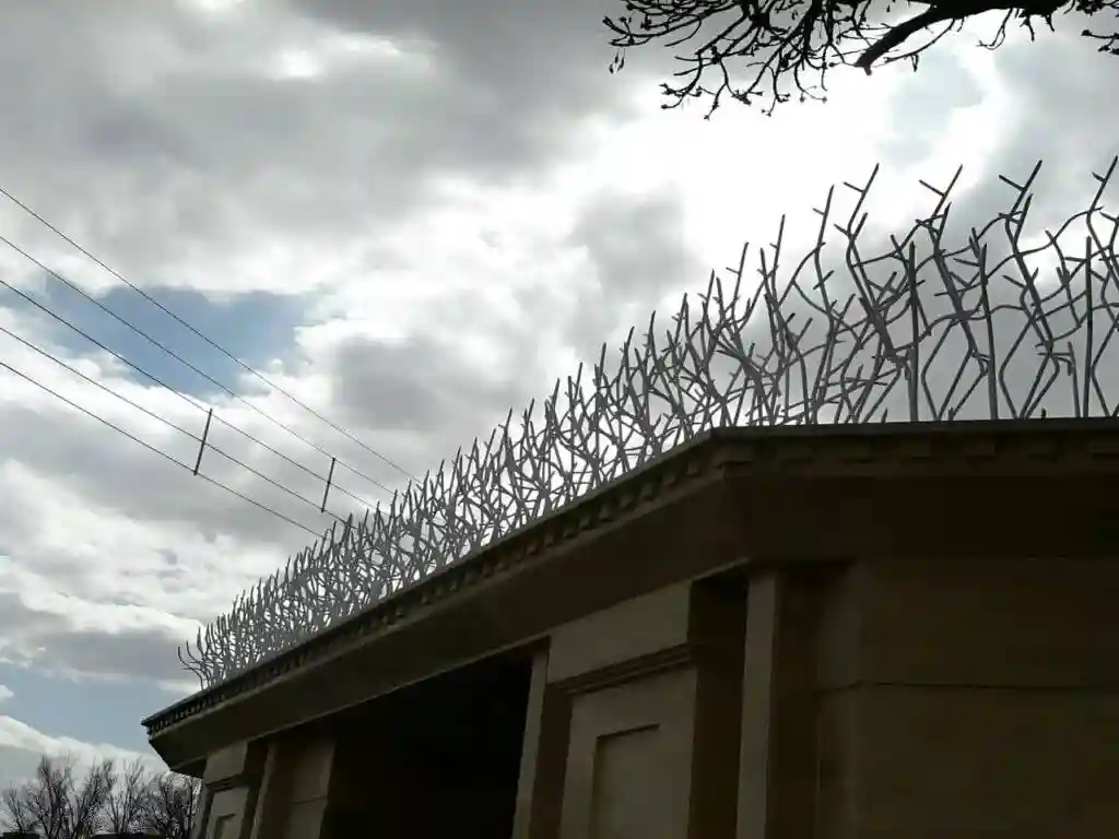 مدل‌های مختلف حفاظ شاخ گوزنی