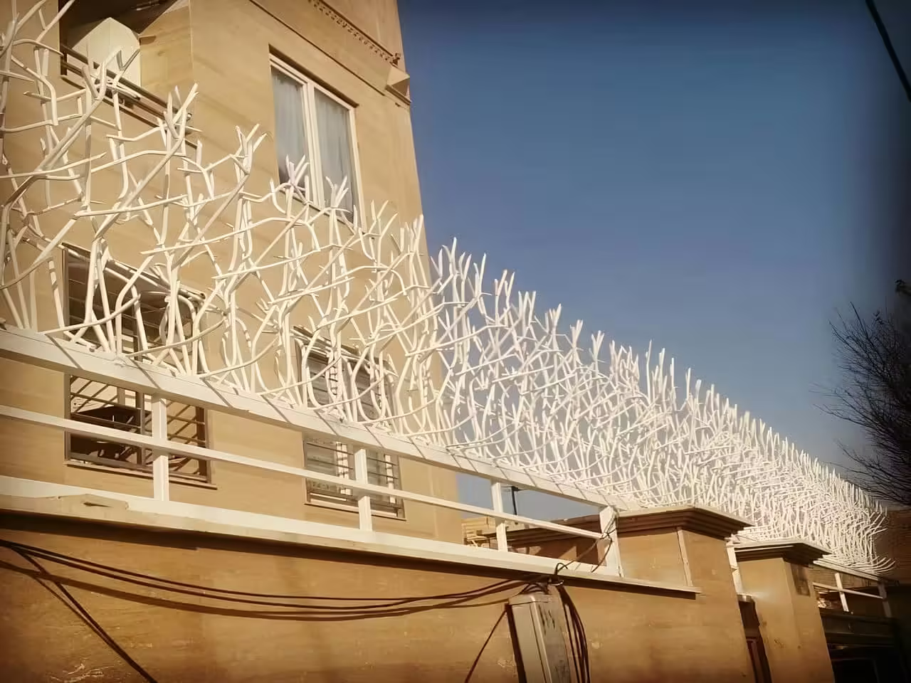 خرید انواع مدل حفاظ شاخ گوزنی
