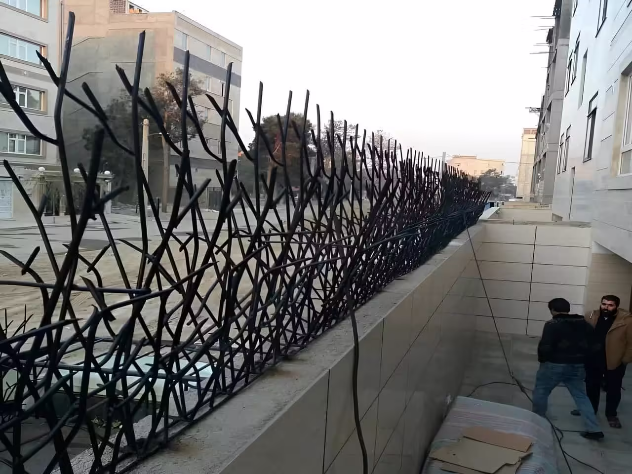قیمت گذاری حفاظ شاخ گوزنی