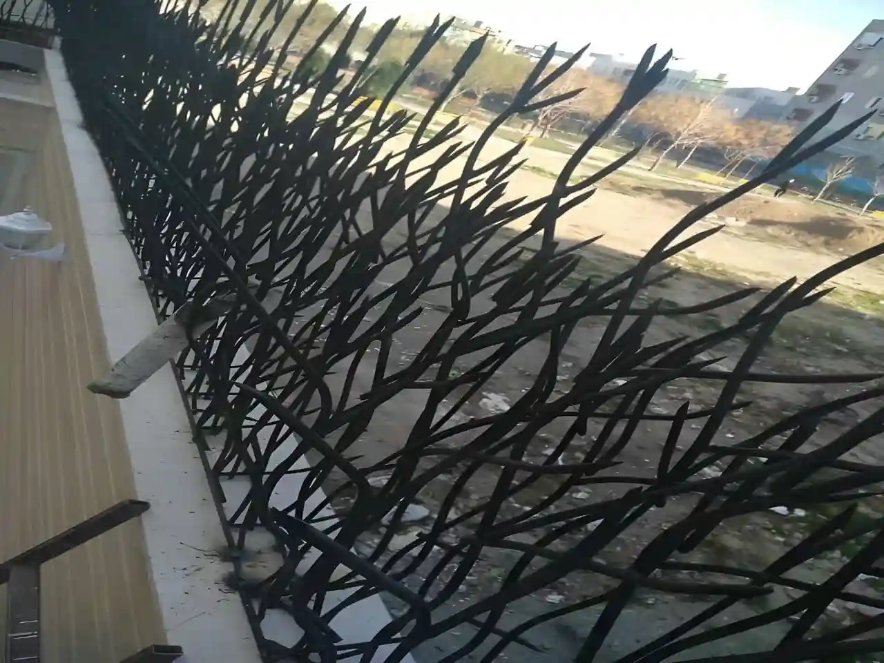 تراکم حفاظ شاخ گوزنی