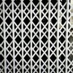 حفاظ آهنی در اختیاریه