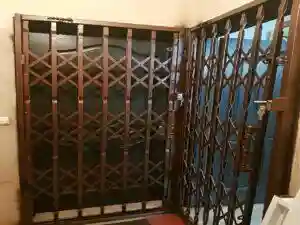 حفاظ آهنی در پونک