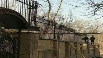 مرکز فروش حفاظ دیوار