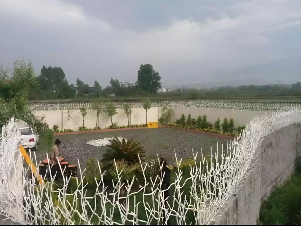 مشخصات حفاظ شاخ گوزنی دیوار