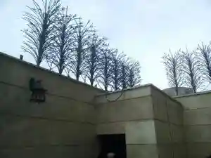 سازنده حفاظ دیوار