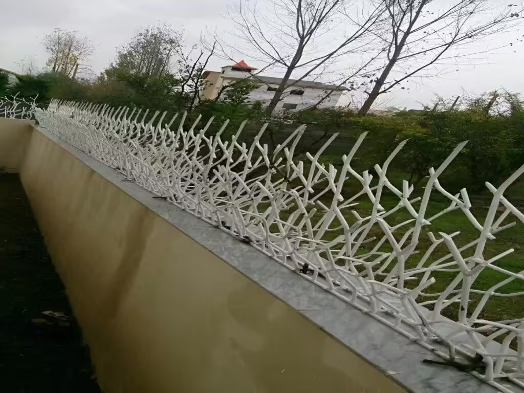 حفاظ شاخ گوزنی با کیفیت