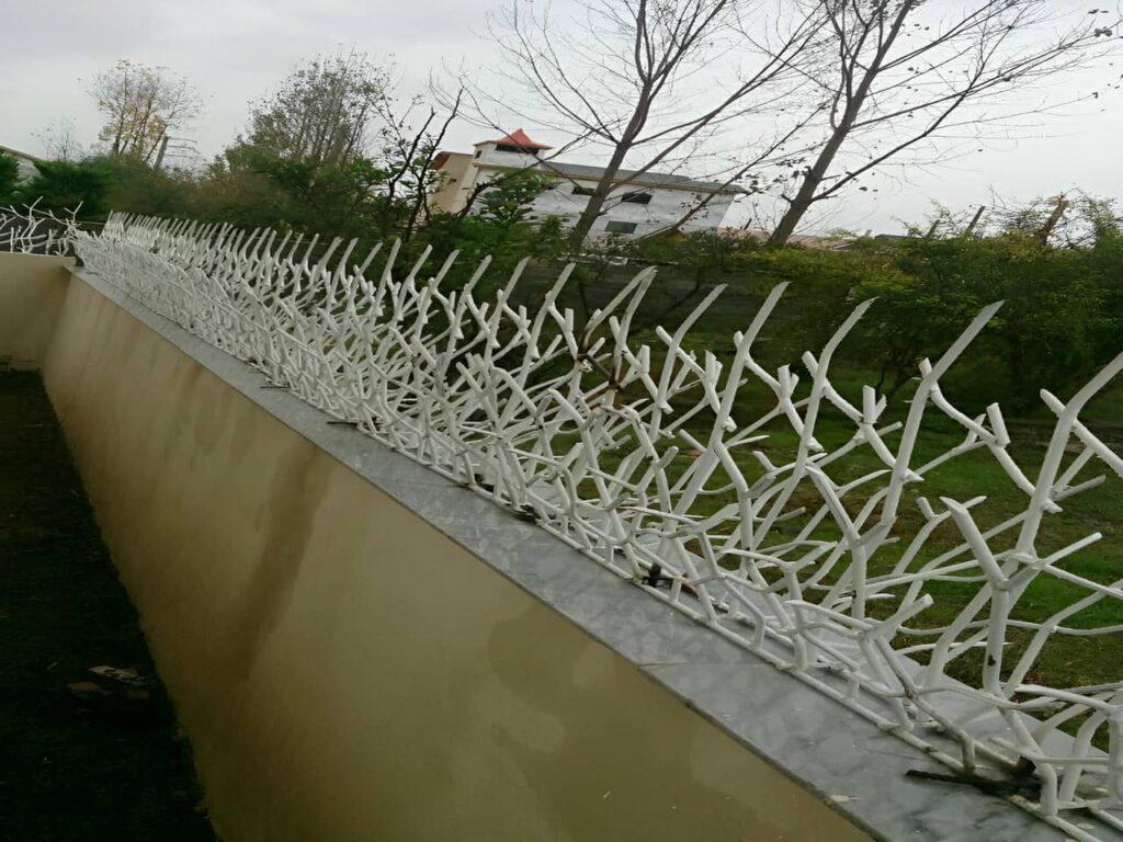 حفاظ شاخ گوزنی با کیفیت