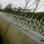 حفاظ شاخ گوزنی با کیفیت