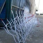 حفاظ شاخ گوزنی چیست