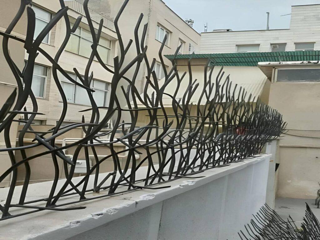 راهنمای خرید حفاظ شاخ گوزنی راهنمای خرید حفاظ شاخ گوزنی