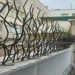 راهنمای خرید حفاظ شاخ گوزنی