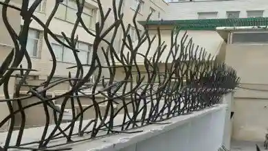 راهنمای خرید حفاظ شاخ گوزنی