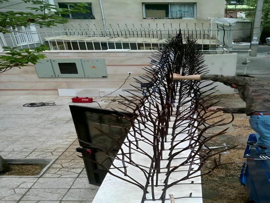 شناخت حفاظ شاخ گوزنی