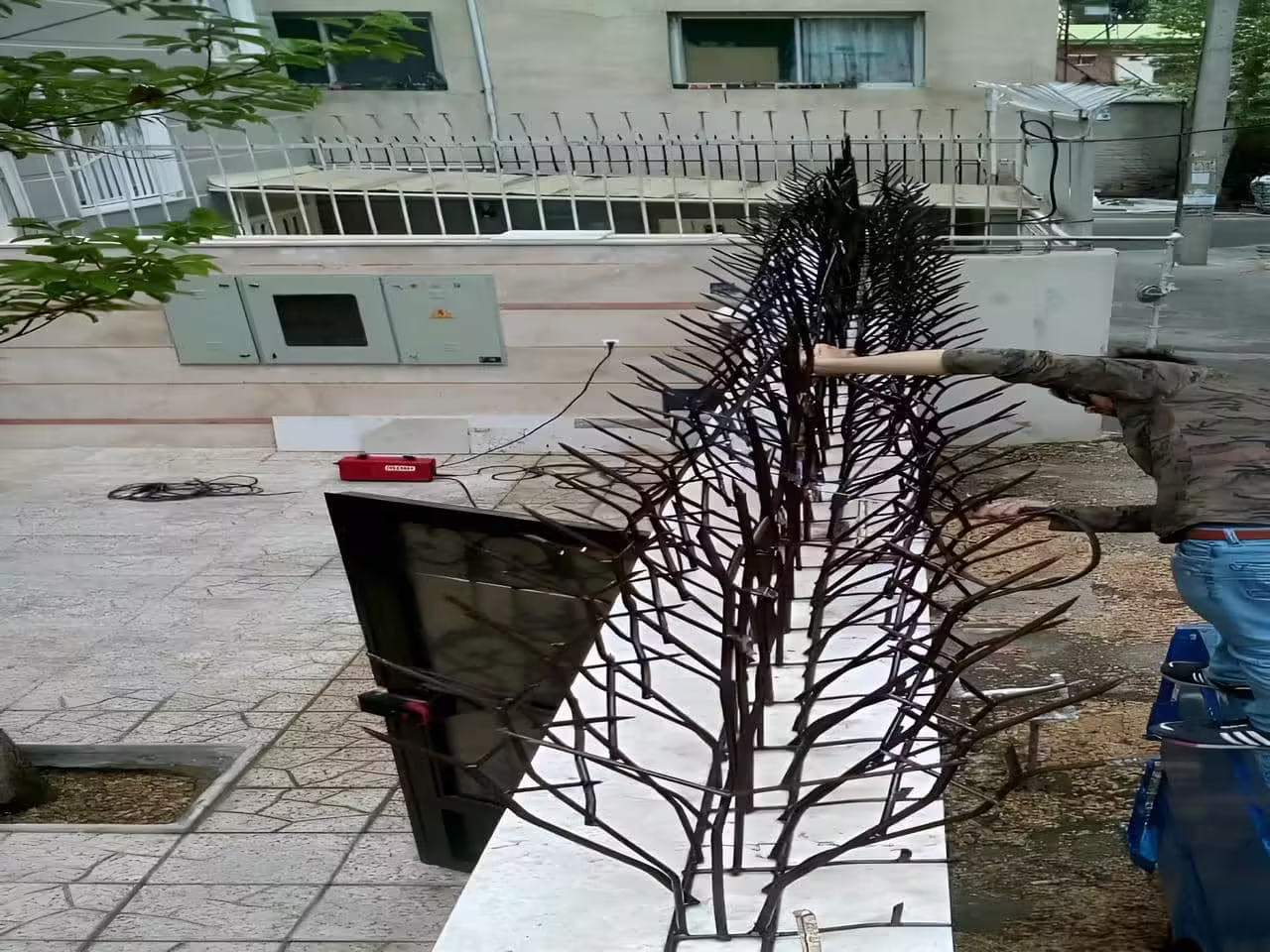 شناخت حفاظ شاخ گوزنی | دیجی صنعت شناخت حفاظ شاخ گوزنی