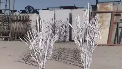 انواع مدل و تراکم حفاظ شاخ گوزنی