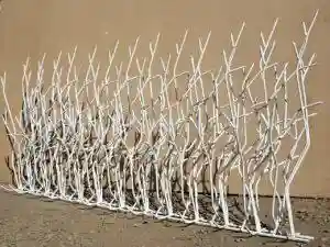 شاخ گوزنی متری چنده؟