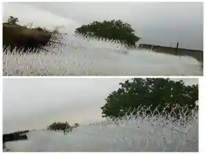 حفاظ شاخ گوزنی با طراحی مقاوم