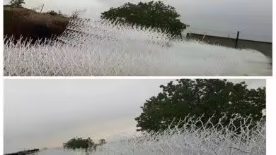 حفاظ شاخ گوزنی با طراحی مقاوم