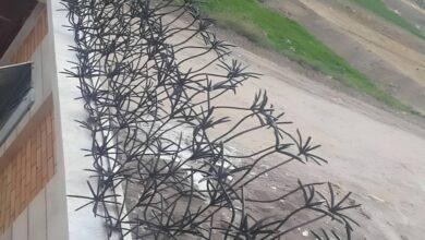 حفاظ ساختمان