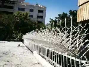 بهترین حفاظ شاخ گوزنی