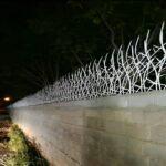 ارتفاع حفاظ شاخ گوزنی