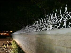 ارتفاع حفاظ شاخ گوزنی