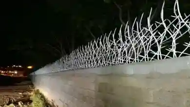 حفاظ بوته ای