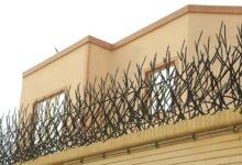 کاربردهای حفاظ شاخ گوزنی