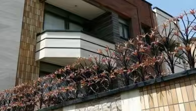 حفاظ دور دیوار حیاط جدید