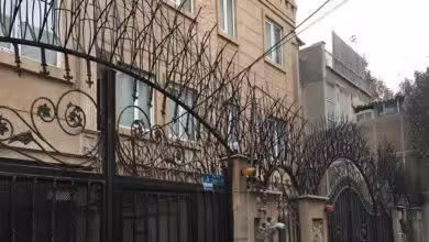 حفاظ شاخ گوزنی تهران