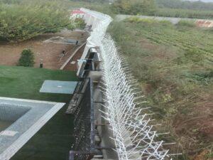 ساخت حفاظ شاخ گوزنی