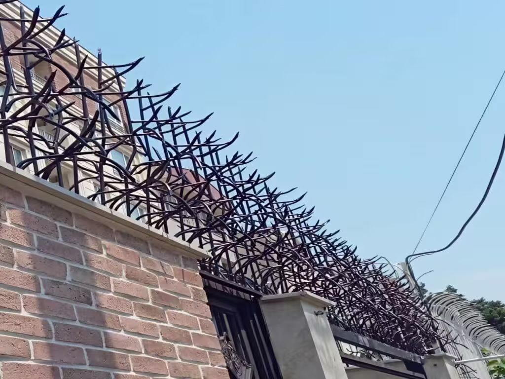 عکس حفاظ شاخ گوزنی